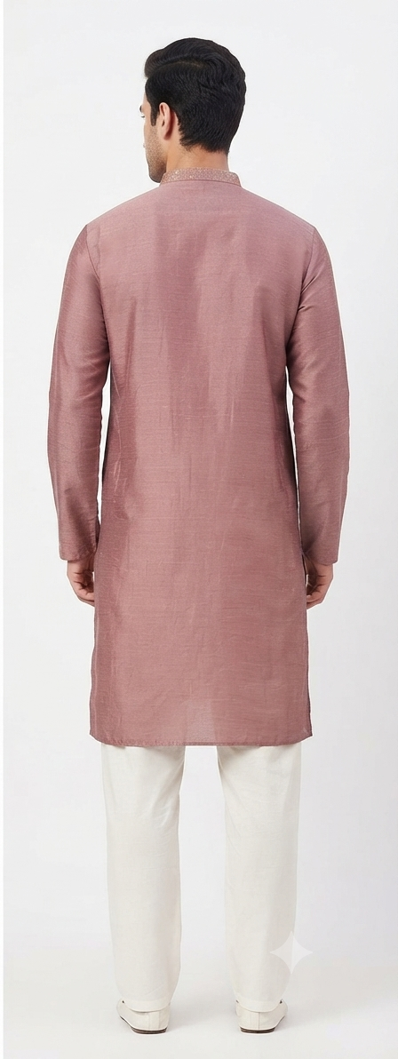 Men's mandarin collar embroidery work kurta, tissue fabric, Neck & daman design and astar attached AST 10 - Onion