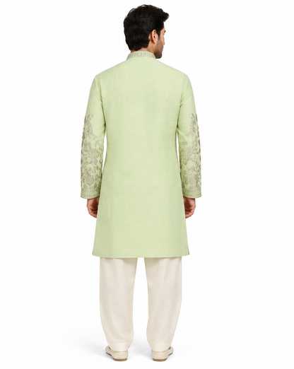 Men's mandarin collar embroidery work kurta, tissue fabric, Neck & daman design and astar attached AST 22 - Pista