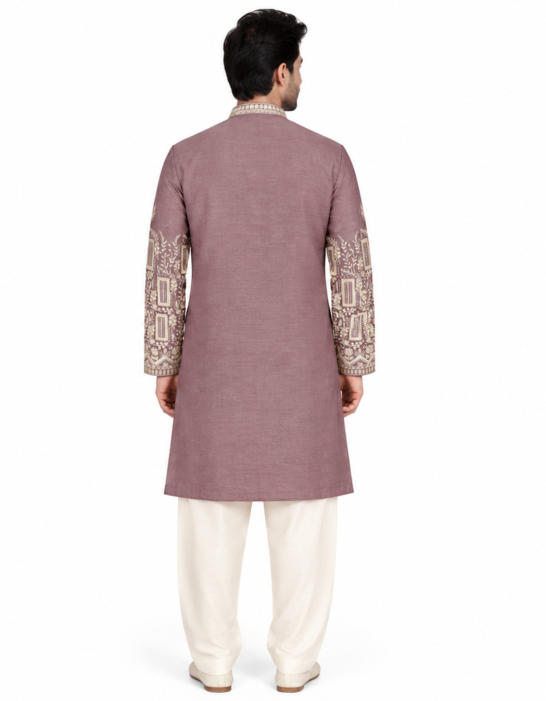 Men's mandarin collar embroidery work kurta, tissue fabric, Neck & daman design and astar attached AST 24 - Onion