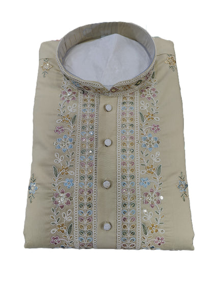 Men's mandarin collar Embroidery work kurta, Neck work, daman design and astar attached DM 03 - Beige